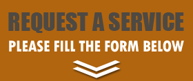 Fill This Form Of Cicero